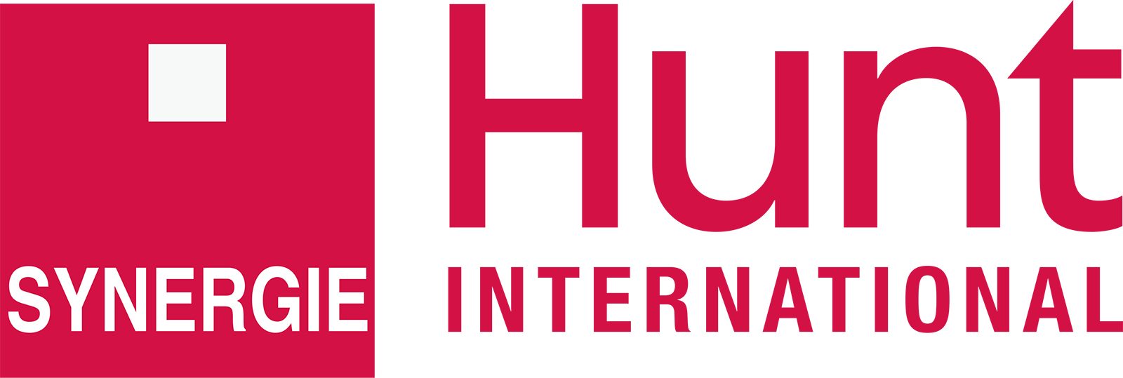 Synergie Hunt International